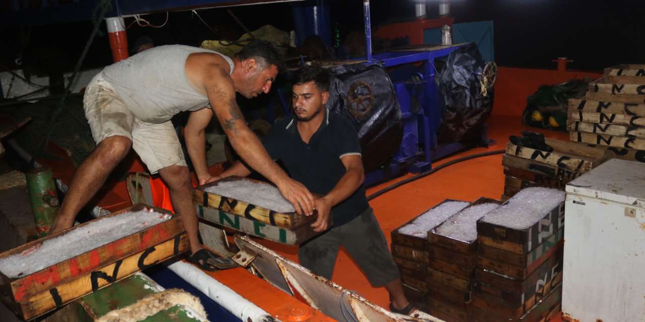 1 kilo parasina kasayla aldilar cesit cesit satildi T1HGTD87