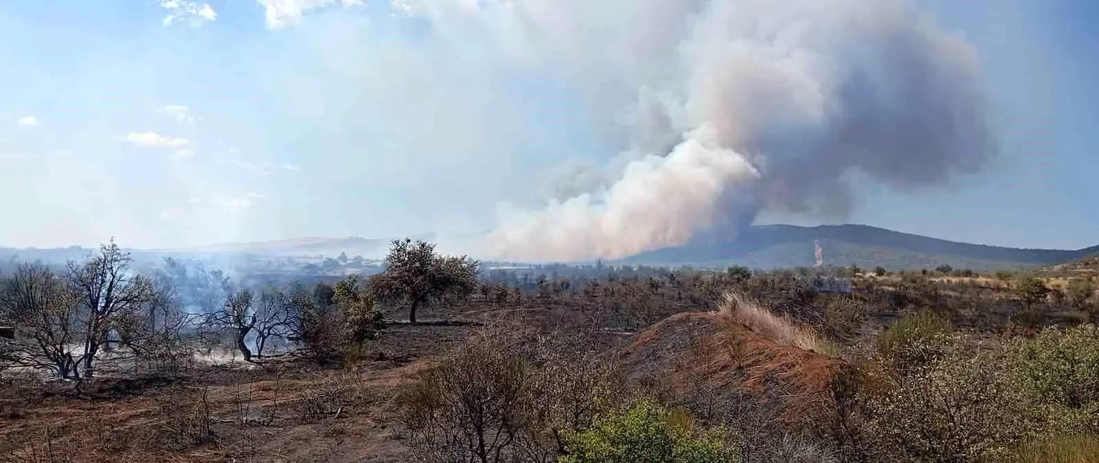 canakkalede yangin ormana sicradi BdARAuW1