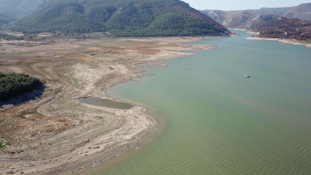 tedirgin eden aciklama ithal etmek zorunda kalabiliriz pe2Wzh33