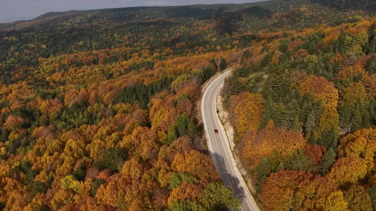 uludagda sonbahar guzelligi zGSu42aE.jpg