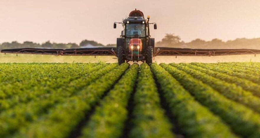 Savaşın Tarım Sektörüne Etkileri: Çiftçilerden Acil Çözüm Talebi