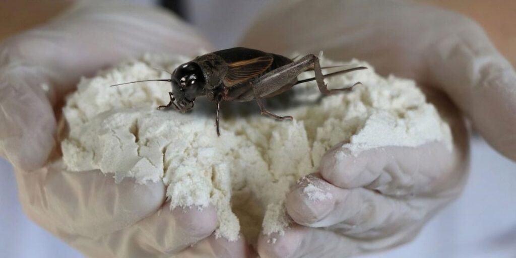 bu-unun-yuzde-60i-protein-ispanaktan-daha-cok-demir-iceriyor-ama-tek-bir-kotu-UFKNtaPf