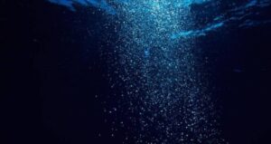 hicbir-bilim-insaninin-aciklayamadigi-yaratiklar-bulundu-uO4y8xBa