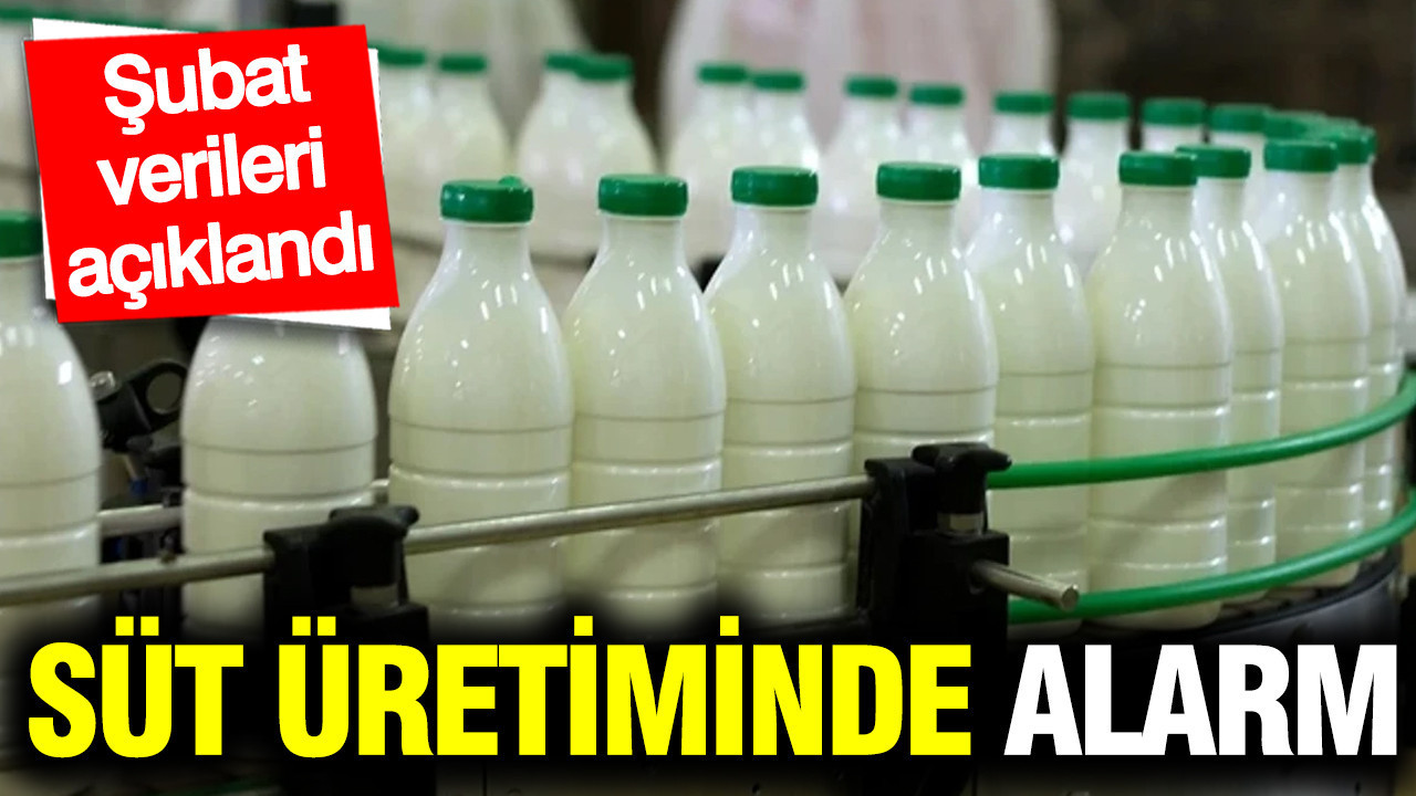 Süt Üretiminde Hammadde ve İşlenmiş Ürün Arasındaki Fark Büyüyor
