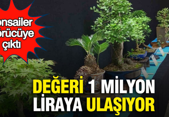 bonsailer-gorucuye-cikti-degeri-1-milyon-liraya-ulasiyor-7iHNK1Eq